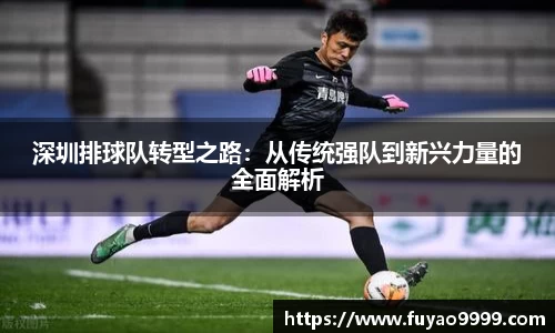 深圳排球队转型之路：从传统强队到新兴力量的全面解析