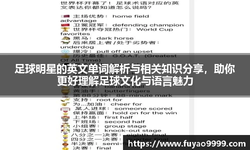 足球明星的英文单词解析与相关知识分享，助你更好理解足球文化与语言魅力